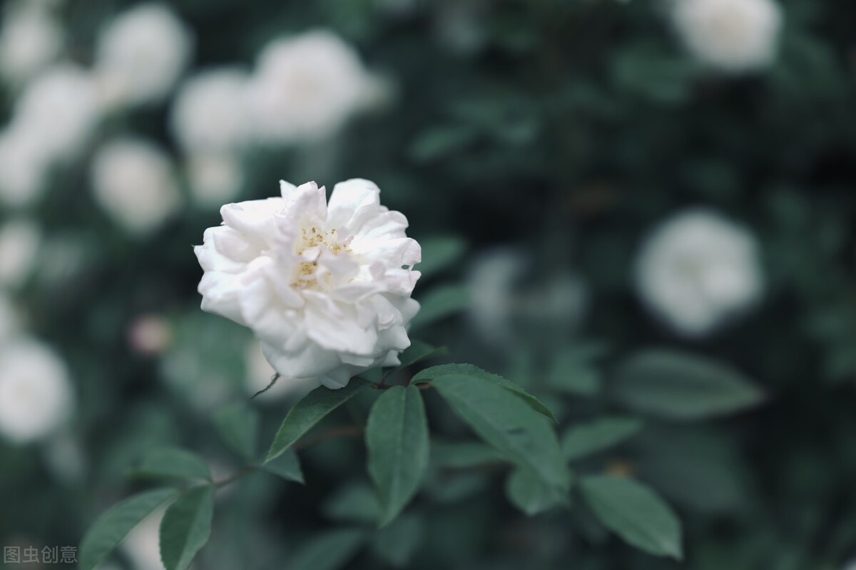 货运公司买货车被骗怎么投诉,买货车送货源被骗