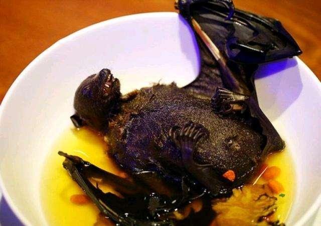 蛇通人性吗,人类与蛇的故事