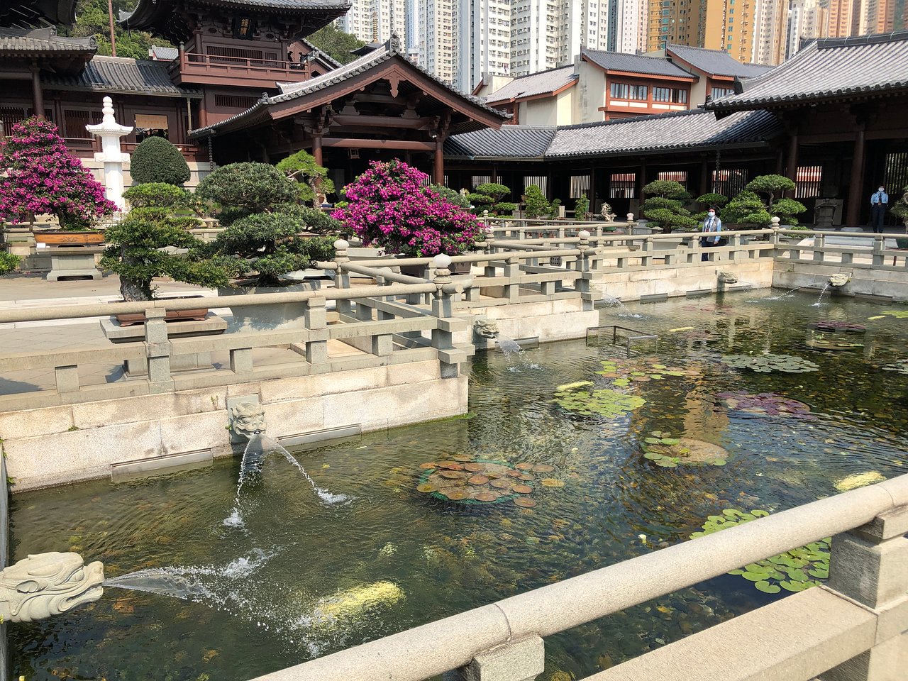 香港志莲净苑地图,香港志莲净苑好玩吗