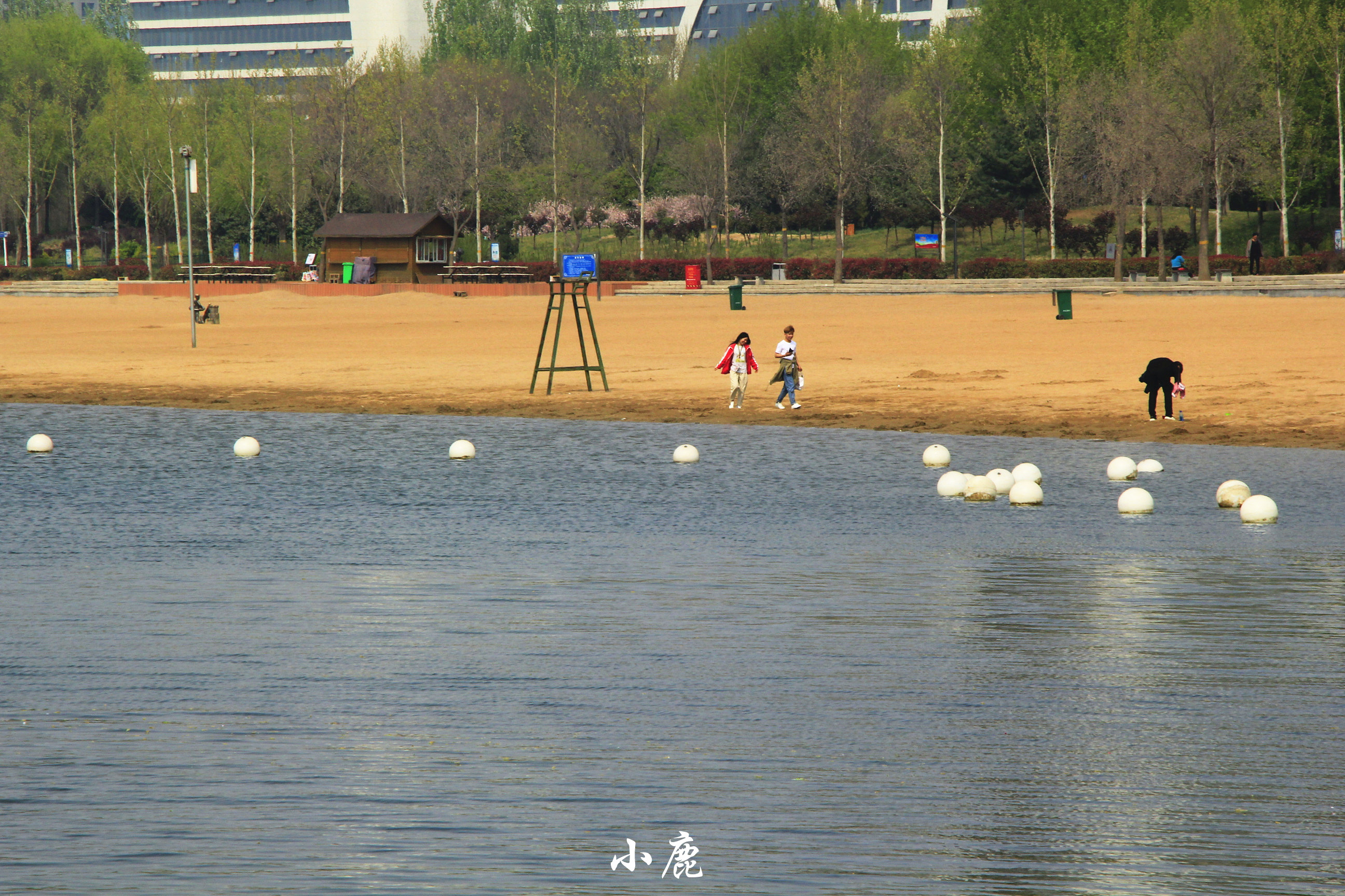 河南看海的地方旅游景点,河南看海旅游景点推荐