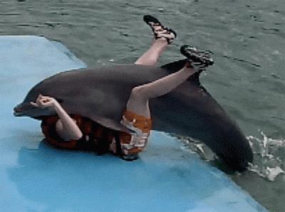 这些猫狗的照片,我也就看了10000多遍!