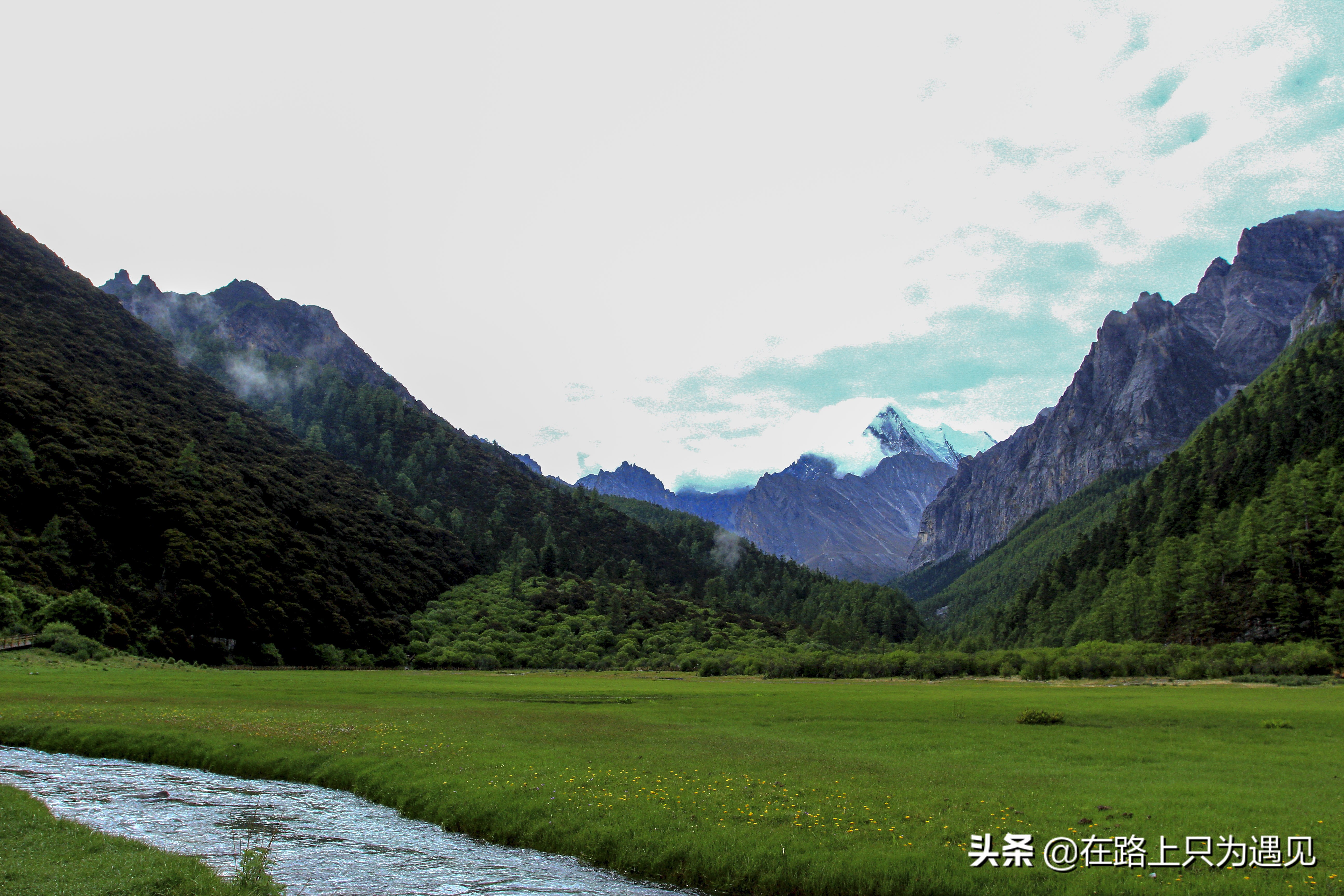 从你的全世界路过稻城亚丁主人公,从你的全世界路过稻城亚丁片段