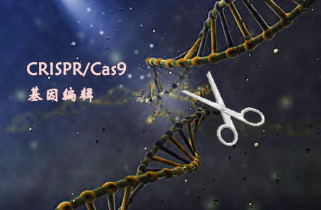 医学发展感悟,回顾与前瞻对未来百年的思考