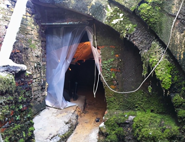 白酒大实话,白酒现代