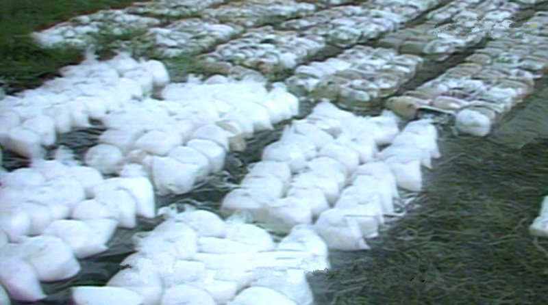 世界第一毒枭覆灭史,世界头号大毒枭覆灭记