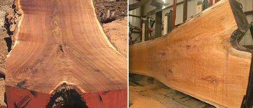 你不知道的美国产品,你不知道的美国