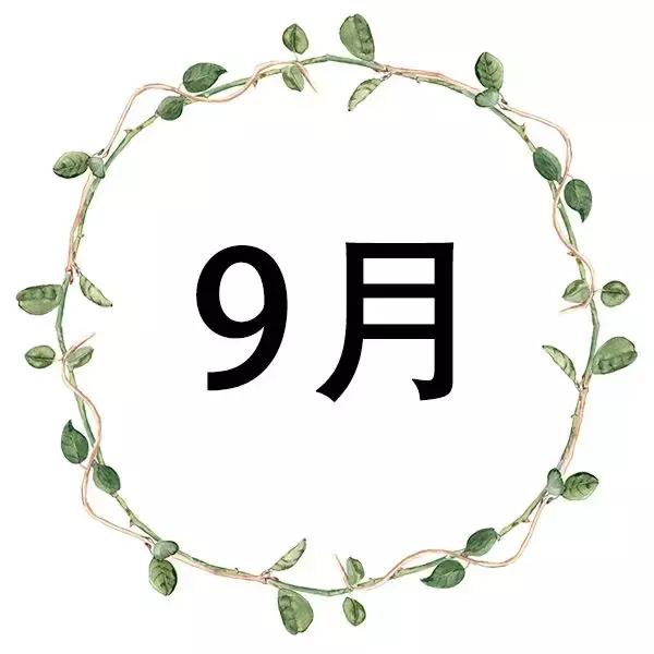 一年12个月的应季水果,1-12月应季蔬菜水果表