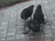 聚划算的便宜到底香不香