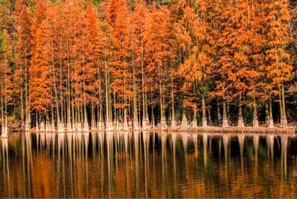 比厦门安静的海滨城市,比厦门安静10倍