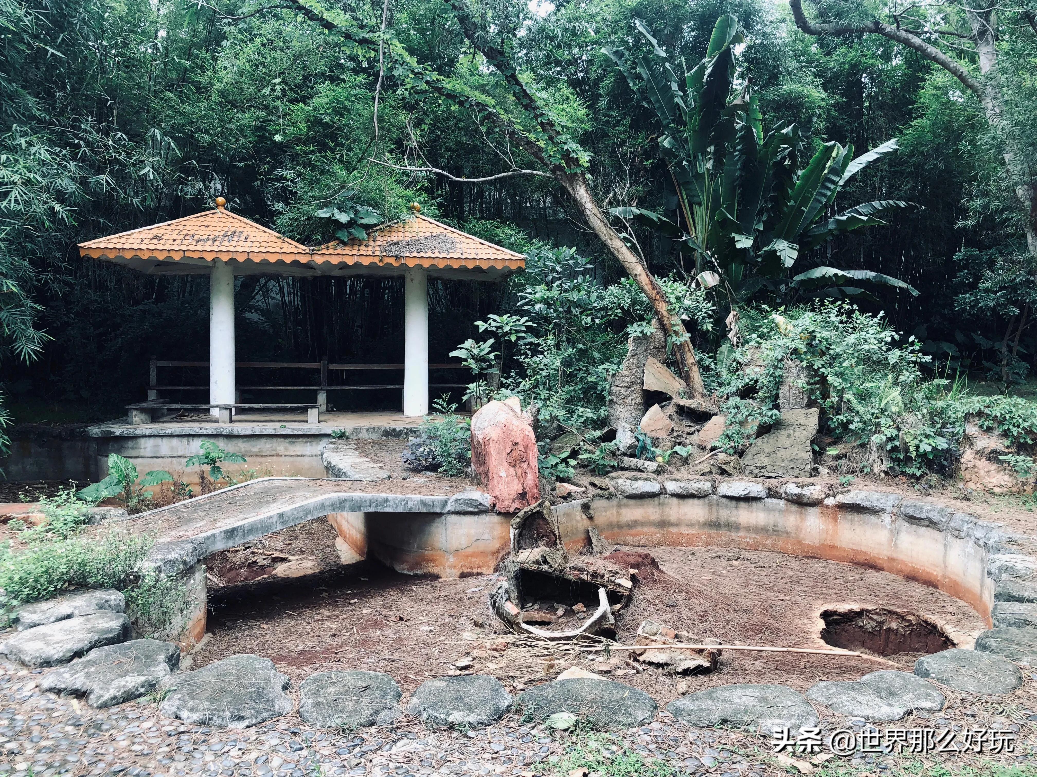 海南金牛岭动物园视频,海口金牛岭公园现在还有动物园吗