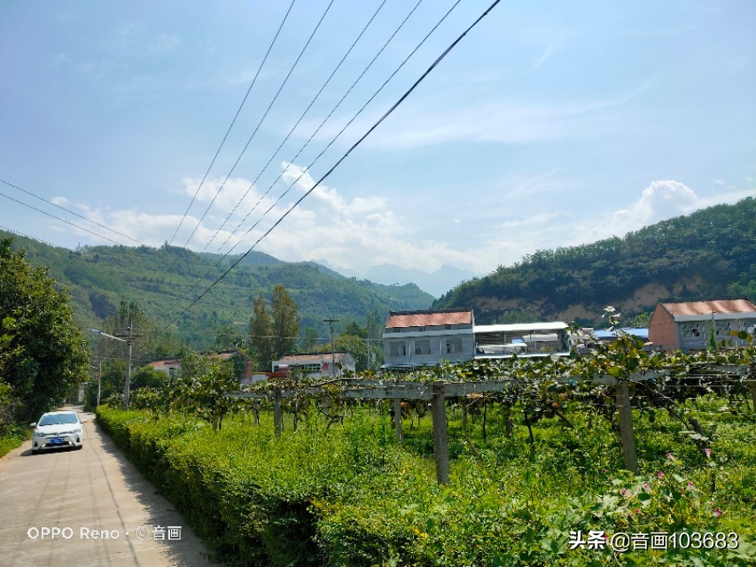 美丽的营头镇,我童年的天堂