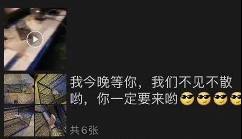 残忍至极！铁笼诱捕小猫水中溺毙，全程直播