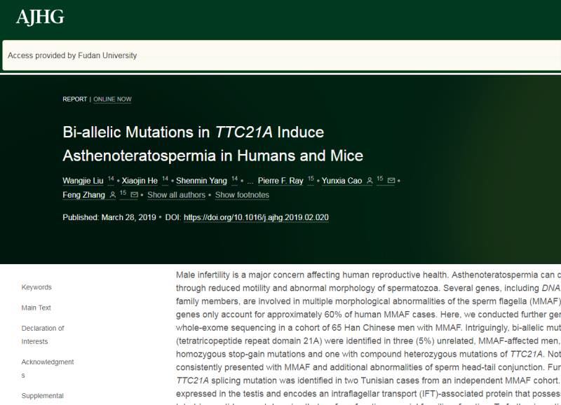 科学家发现性染色体的过程,上海治疗弱精的专家
