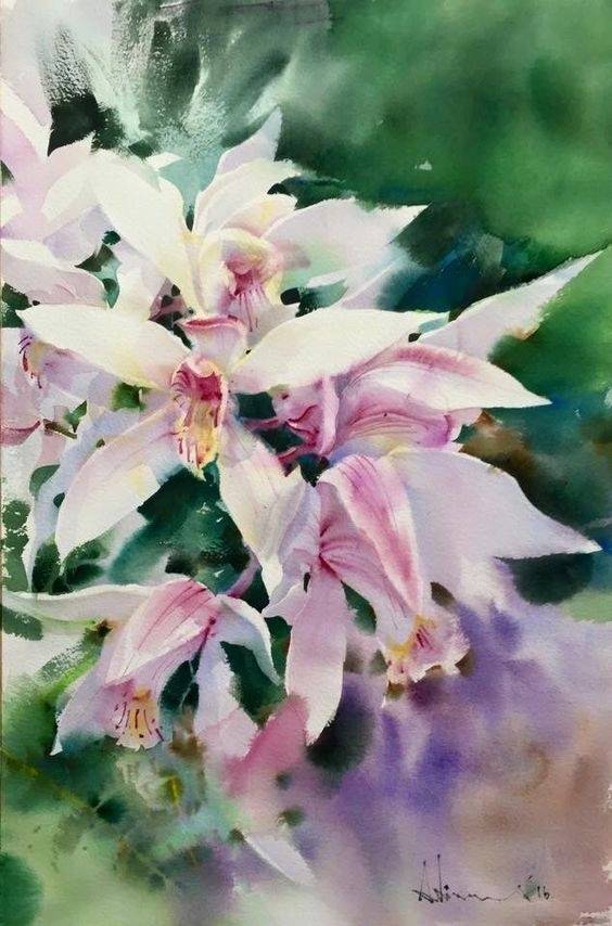 波兰画家水彩花卉,泰国水彩花卉画家