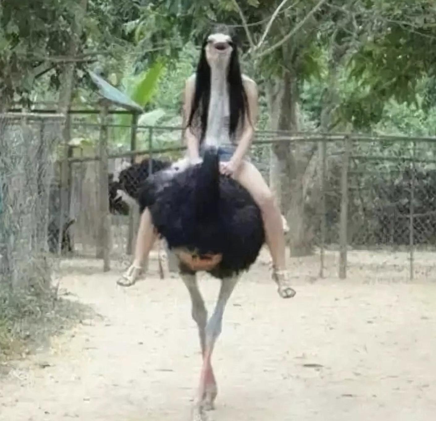 一些很普通的图片,那些看似普通却很惊艳的照片