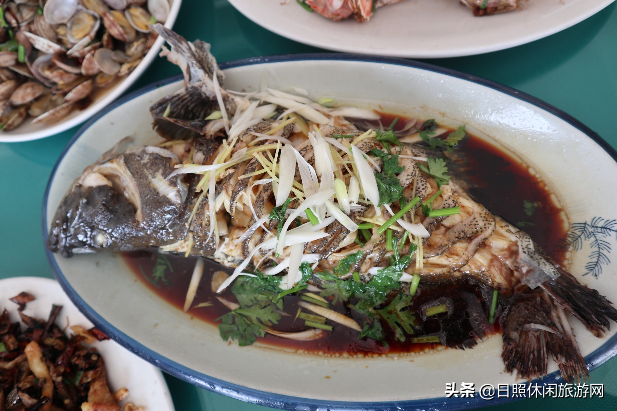日照旅游住渔家哪个村好,来日照旅游住渔家