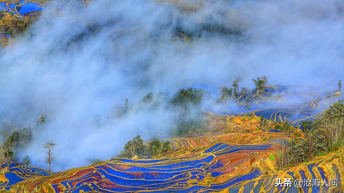 此情可待成追忆只是当时已惘然,此情可待成追忆用意