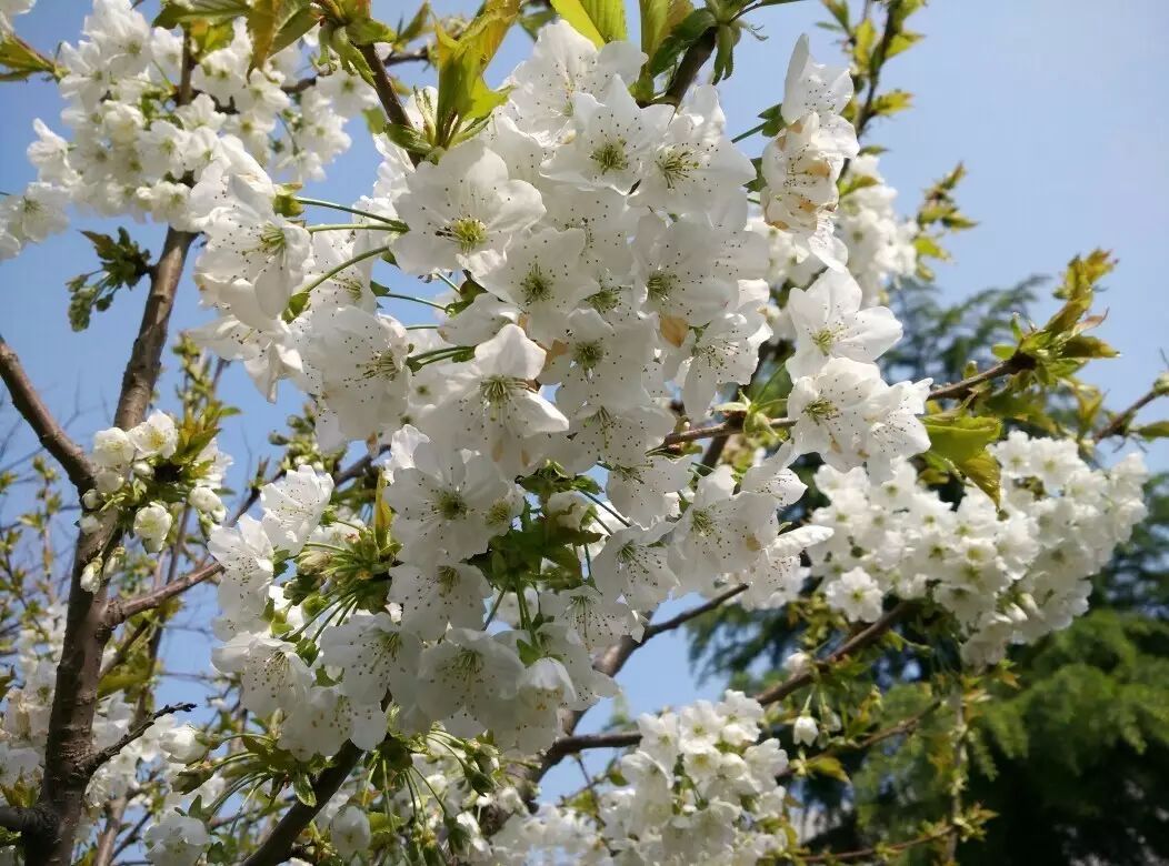 再过半个月，全国人民都将羡慕南阳