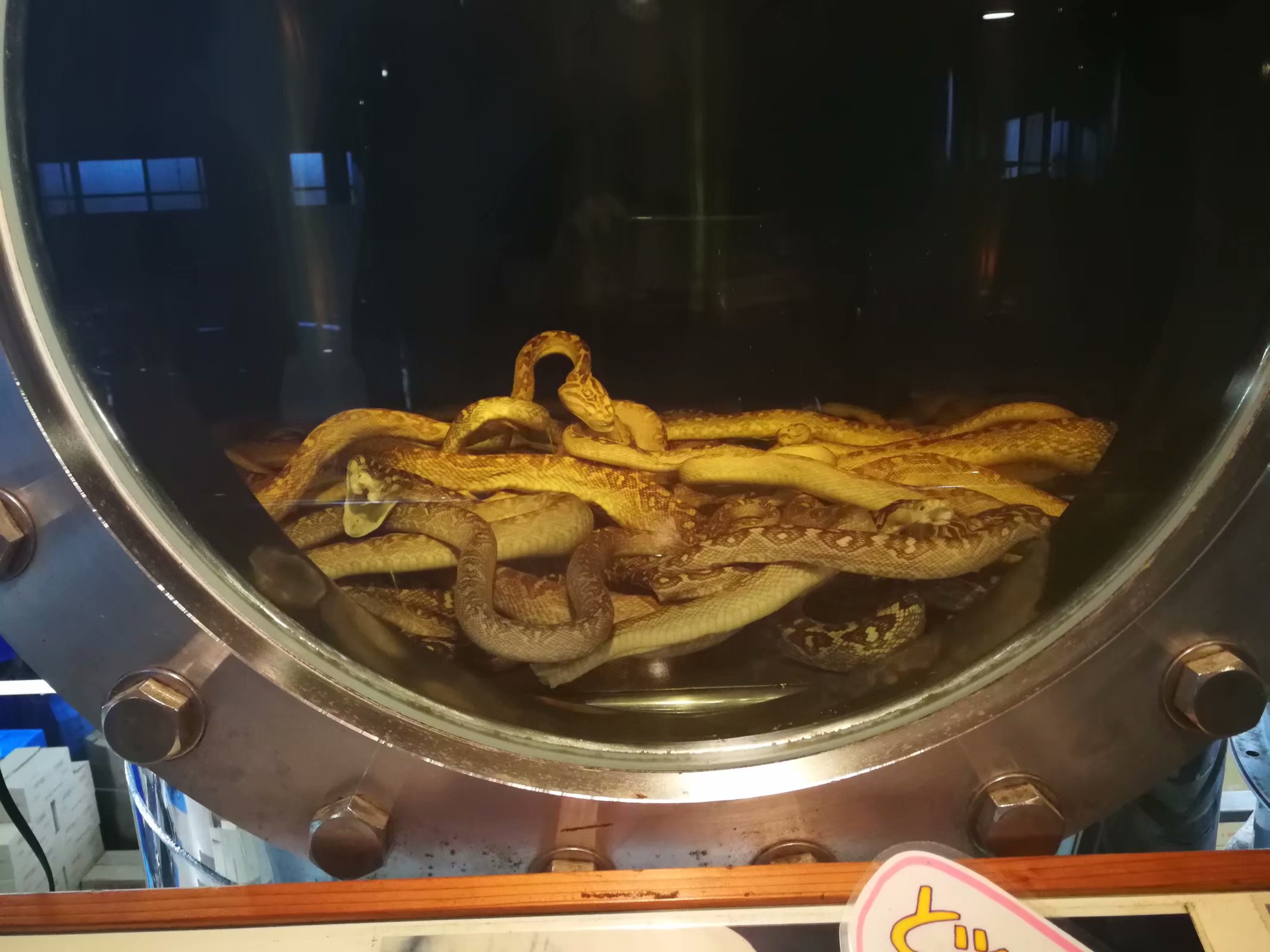 探秘古村落纪录片第一集,琉球王城遗址