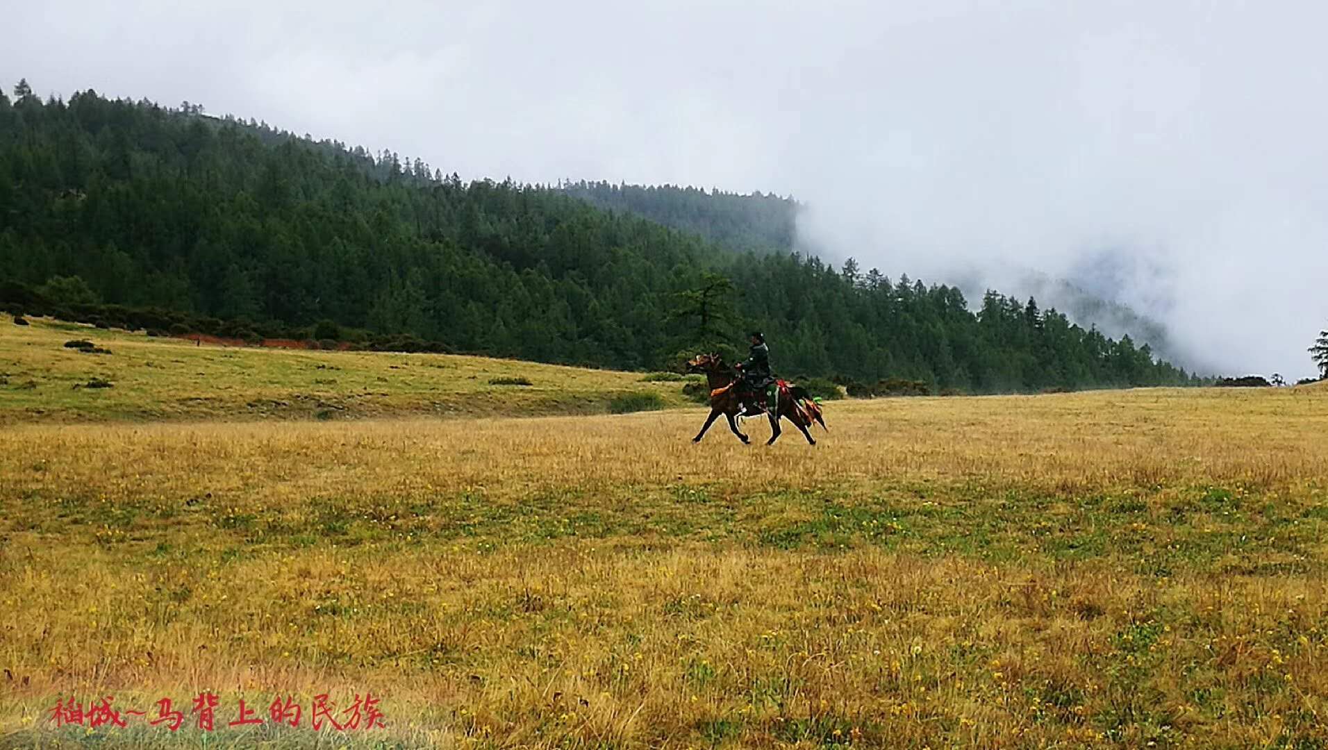 高原上奔跑是什么样的感觉,云顶草原骑马真实感受