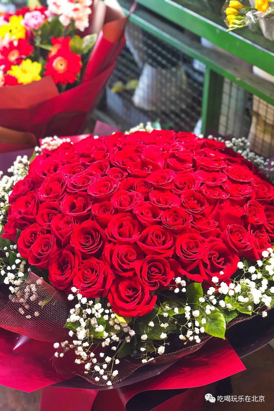 北京花市攻略大全,北京最美赏花景点