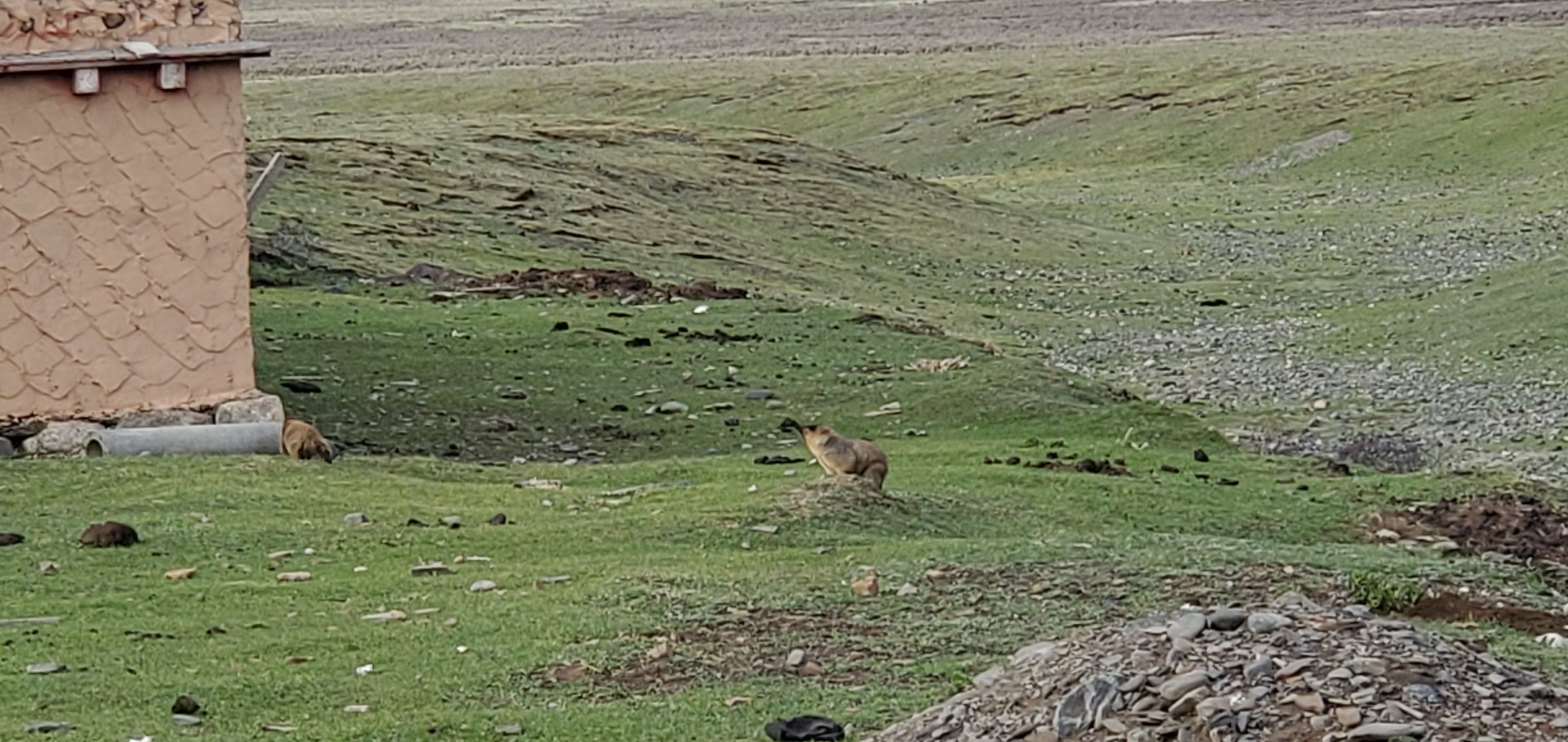 川藏线434自驾游详细线路,此生必驾g318自驾游攻略