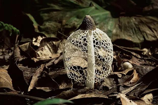 40部宝藏级bbc纪录片,bbc十大必看纪录片