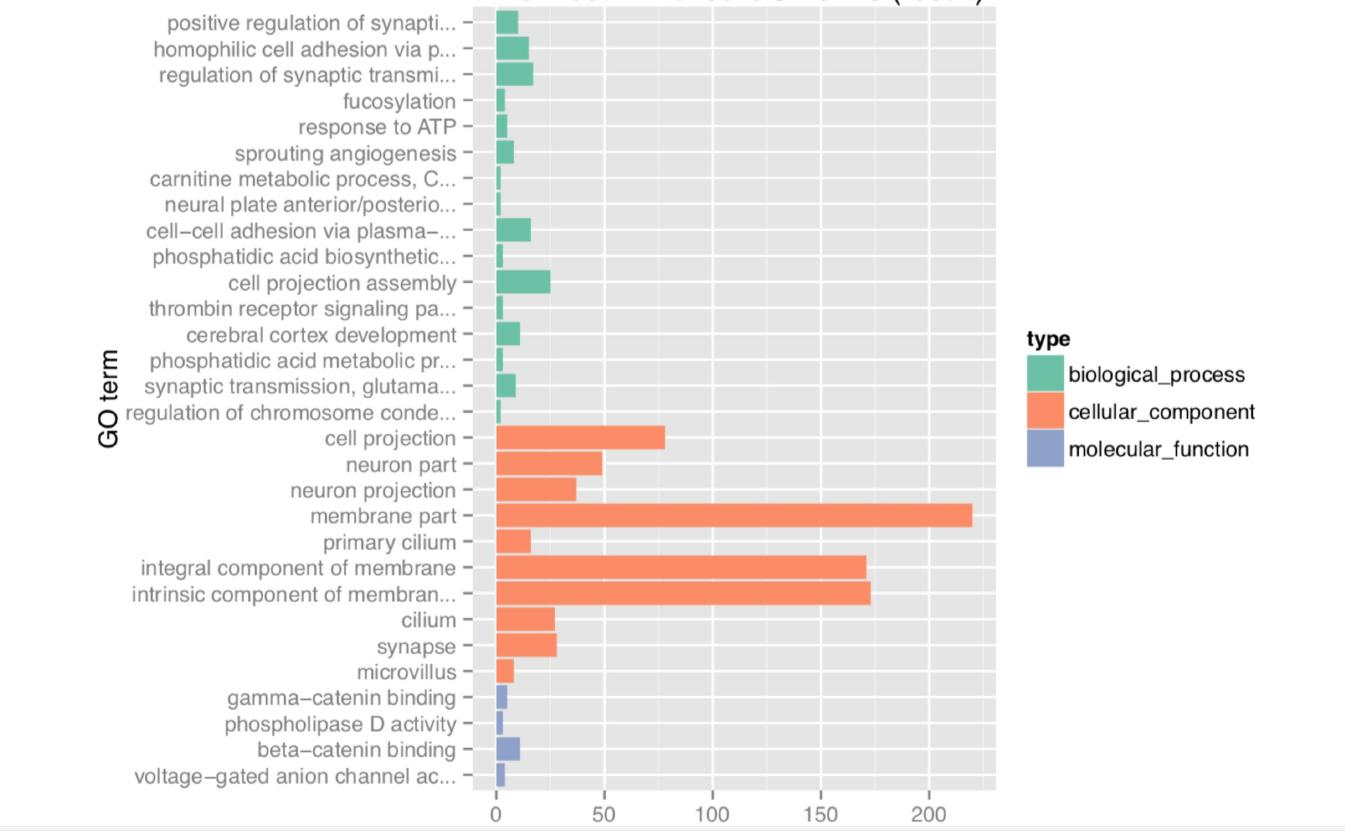 中国六千年历史朝代,中国6000年疆域变迁