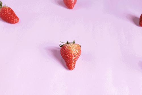 与永丰乐城相约一场“莓”好时光之旅