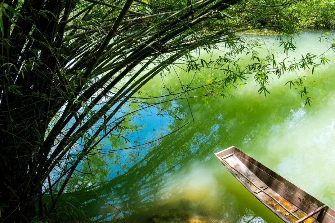 诗词中的夏天，名字好美