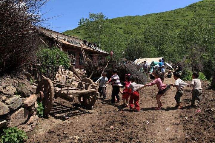 《不管狗和茶炊怎么闹腾》：儿时的记忆，最美的梦