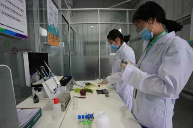 国企传统纸媒竟跨行“卖菜”？并且在疫情当下实现翻倍