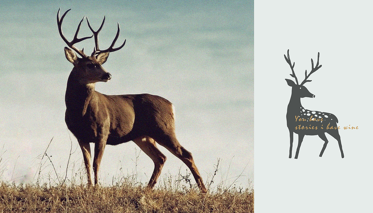 文艺风格餐厅,让餐厅充满了一种复古的气息
