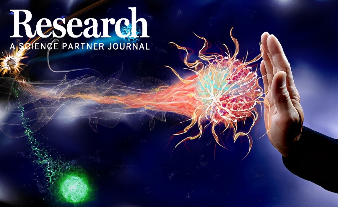 浙江大学高长有团队｜动态炎症组织微环境：生物材料的意义与疾病的治疗