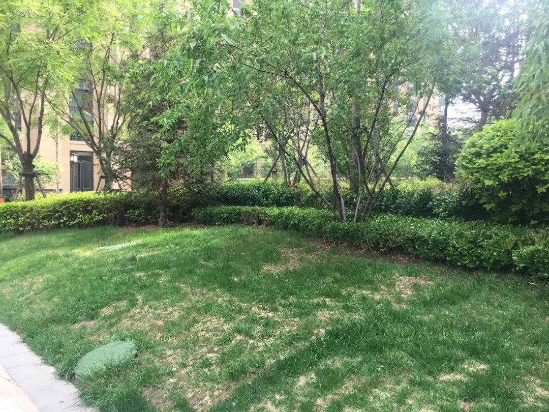 长安区哪个楼盘值得入手,长安板块楼盘有哪些好点