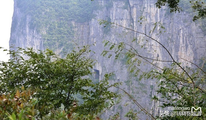 张家界天门山旅行路线攻略三日游,十一到张家界天门山旅游攻略图文