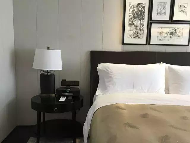 南京总统府圣和府邸酒店,圣和府邸酒店可以看到总统府吗