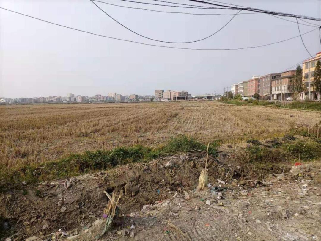 原平乡村振兴督导组,乡村振兴局开展乡村振兴工作督导