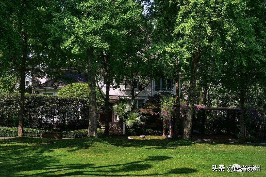 青剑湖新楼盘即将开盘,青剑湖新楼盘最新消息