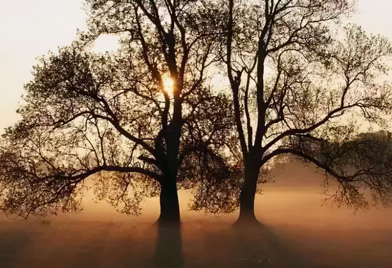 亲情永远藏在每个人的心间,亲情是永远割舍不断的爱