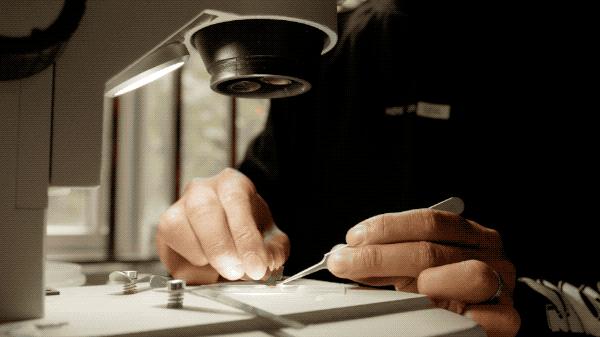 吃毒菇、睡蛇窝，只为挖一堆草，这个重庆博士要做当代神农