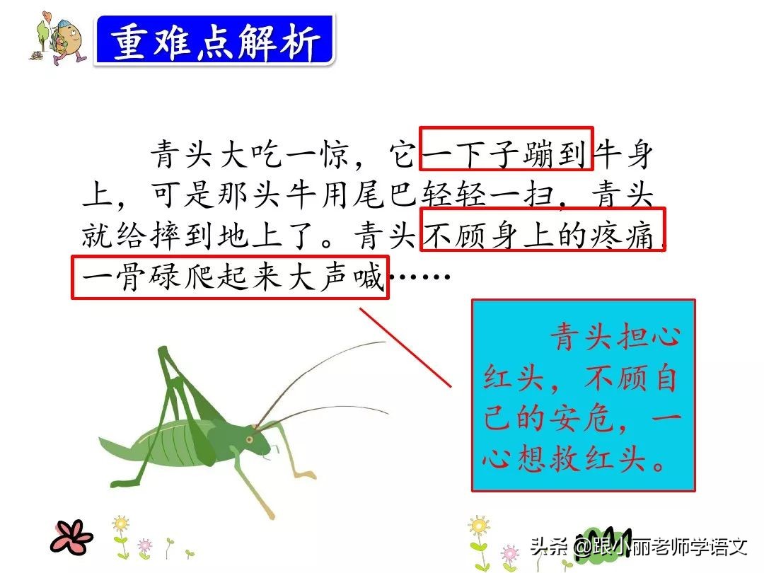 三年级上册在牛的肚子里旅行预习,三上语文在牛肚子里旅行同步讲解