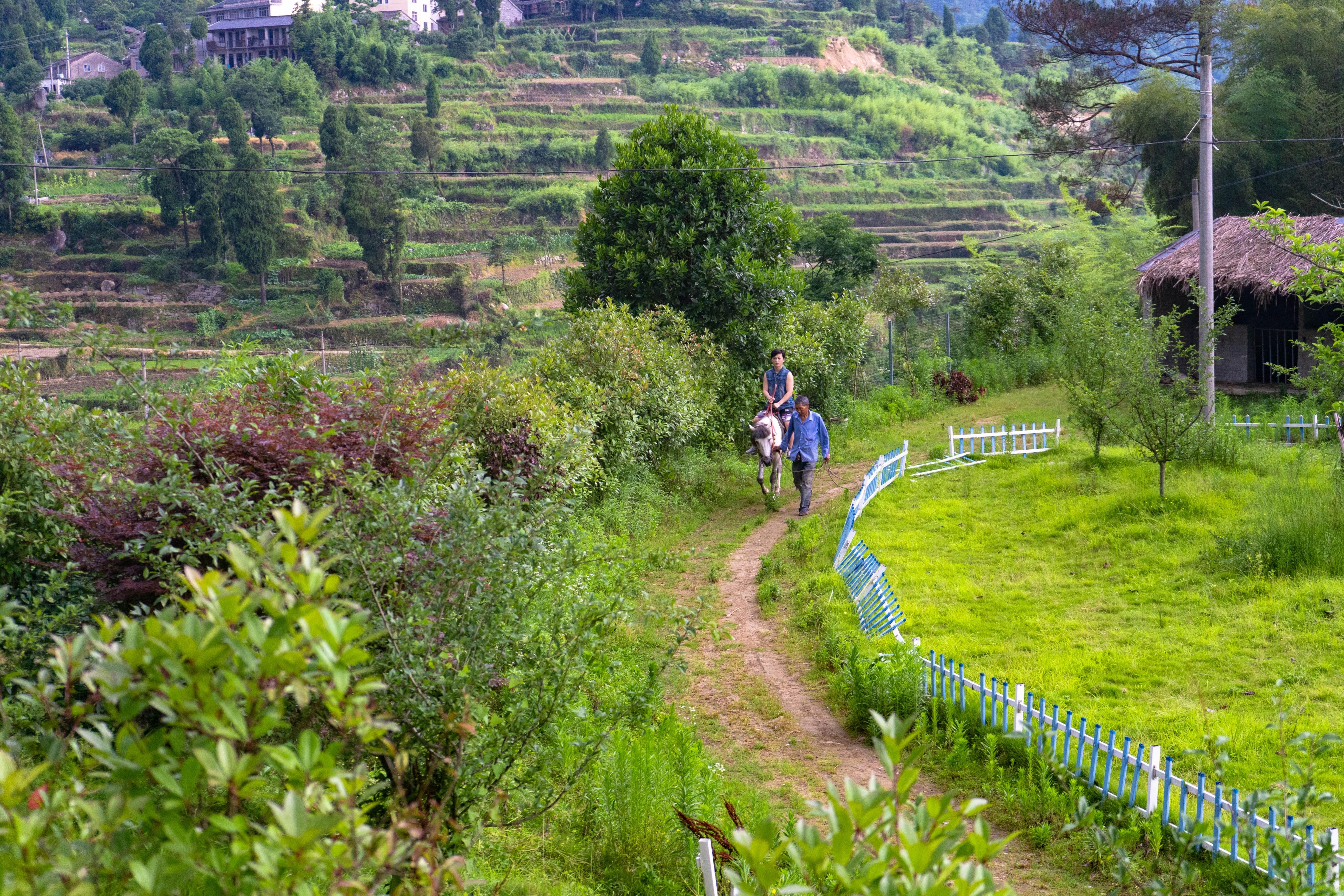 我与临海的三天两夜：从自然走向人文，从人文体悟生活
