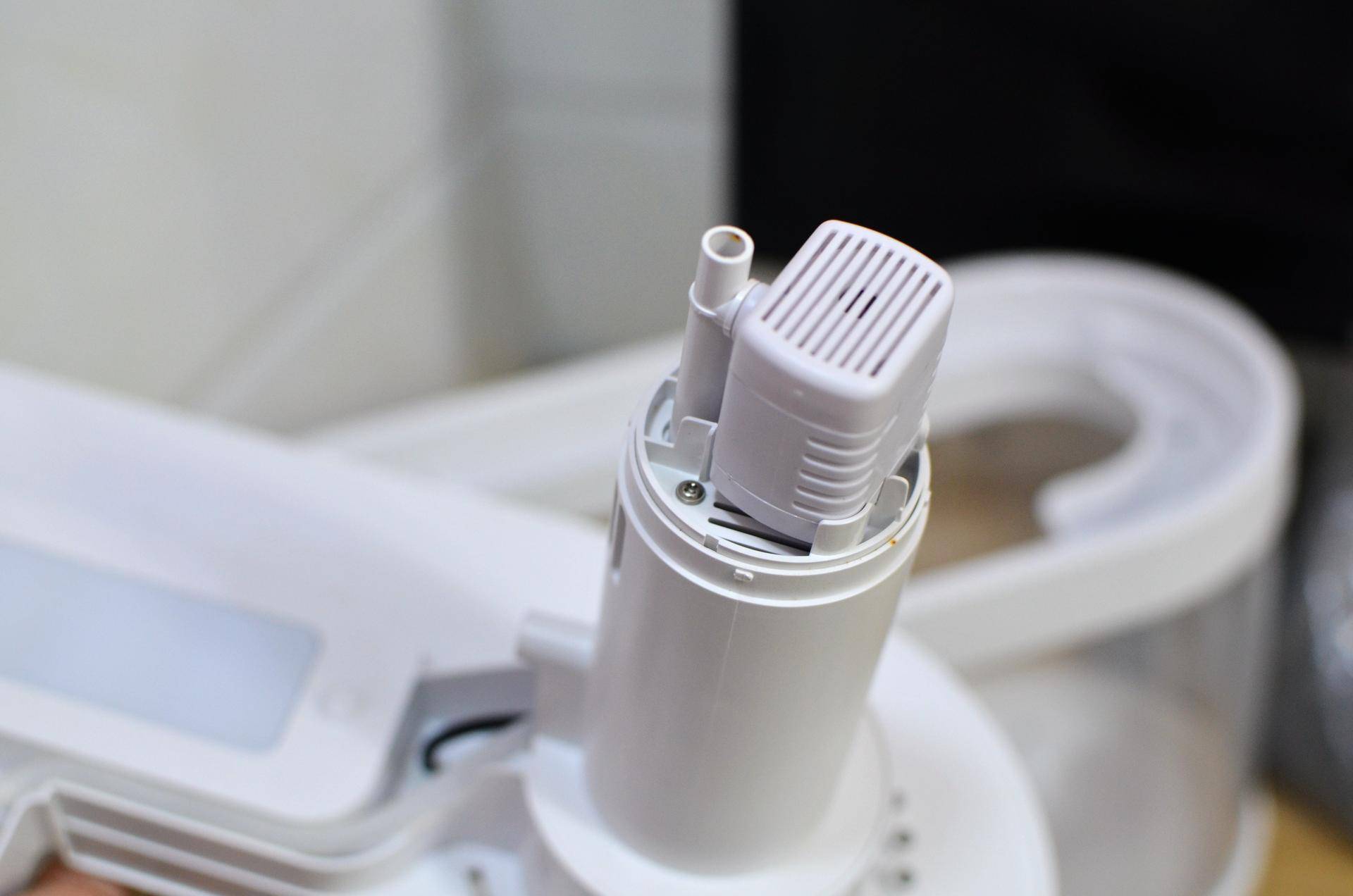 小米生态鱼缸养巴卡雷龙,小米生态缸养鱼入门基础教程