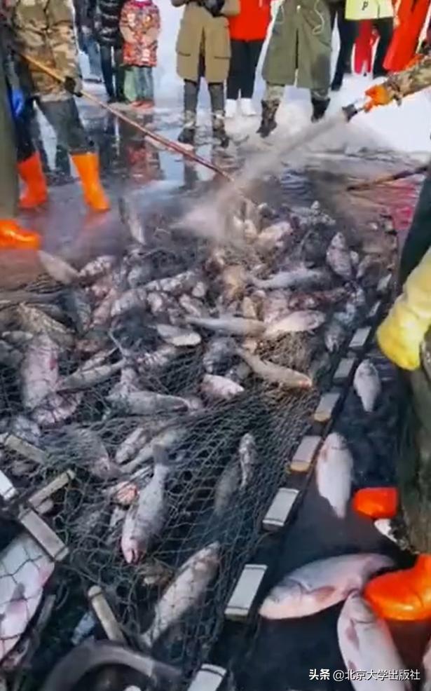 快手背后的农村残酷物语？这些才是农村的真相