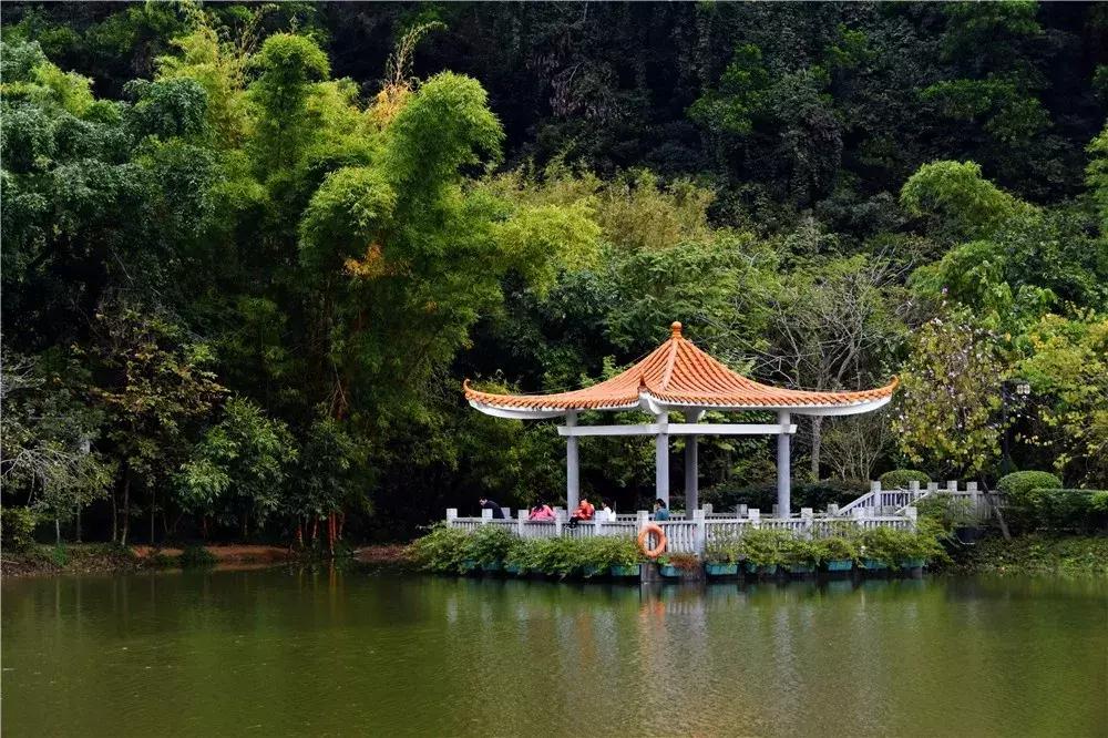 郑州春节周边景区免费景点大全,春节赏花的好去处