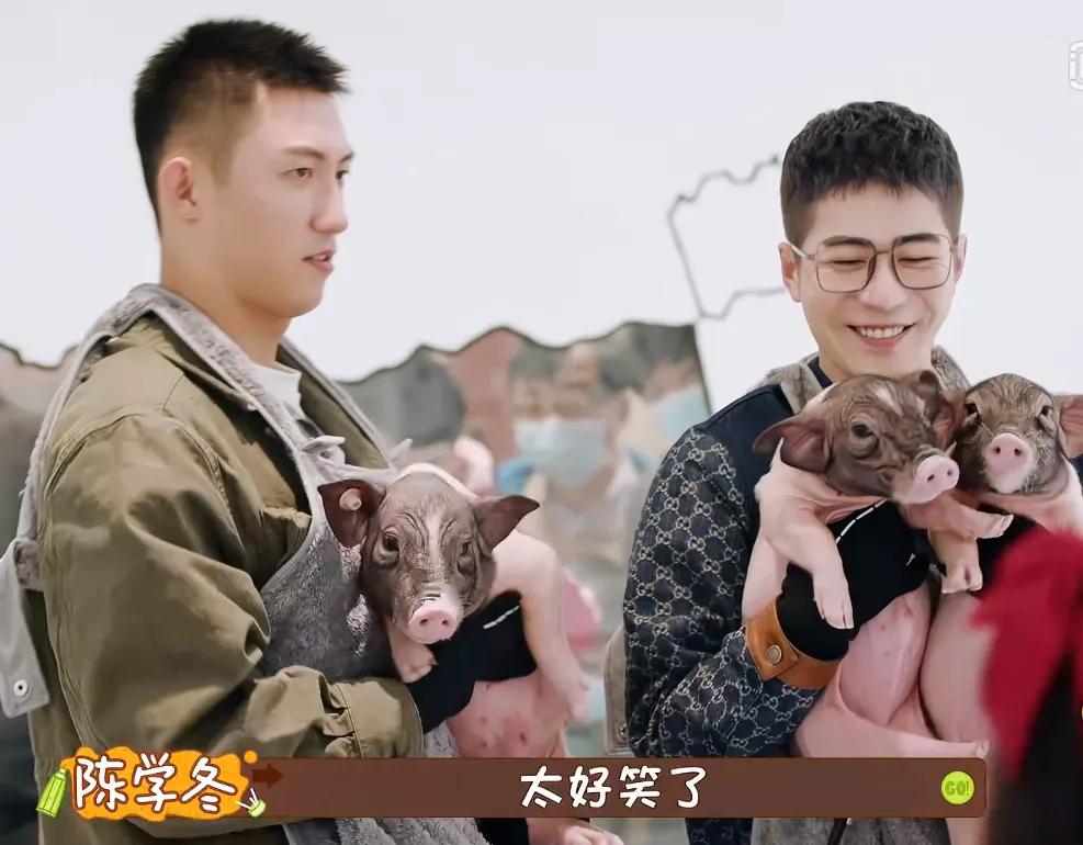 陈学冬怎么变样了,影视资源匮乏的问题