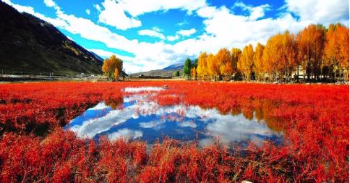 稻城亚丁旅游攻略带什么物资,稻城亚丁攻略需要带什么