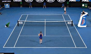 网球场地知识及规则,网球比赛精讲