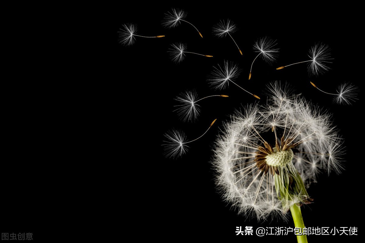 有什么关于运动员的小说,男主是运动员的文推荐